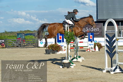 Absolut horses
S1 Springning Heste (145 cm) B1
Nøgleord: charlotte kondrup;dithmarsia