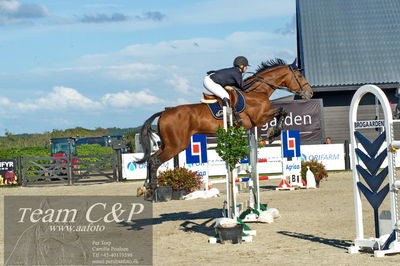 Absolut horses
S1 Springning Heste (145 cm) B1
Nøgleord: jessica winther jensen;spartacus