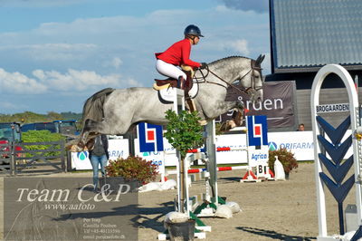 Absolut horses
S1 Springning Heste (145 cm) B1
Nøgleord: shannon ketterle;iwan