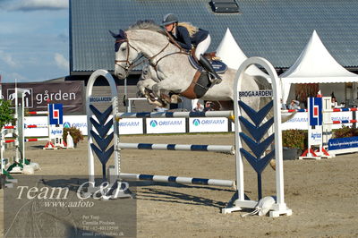 Absolut horses
S1 Springning Heste (145 cm) B1
Nøgleord: kamilla ladefoged rasmussen;colina 70