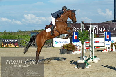 Absolut horses
S1 Springning Heste (145 cm) B1
Nøgleord: lars trier kjoeller;dinapo
