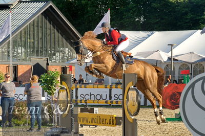 Absolut horses
S1 Springning Heste (145 cm) B1
Nøgleord: rikke hasstrup kristensen;balouca z