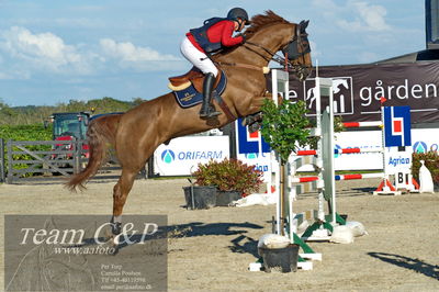 Absolut horses
S1 Springning Heste (145 cm) B1
Nøgleord: rikke hasstrup kristensen;balouca z