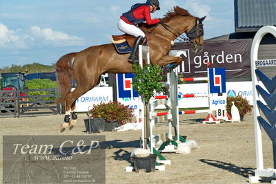 Absolut horses
S1 Springning Heste (145 cm) B1
Nøgleord: rikke hasstrup kristensen;balouca z