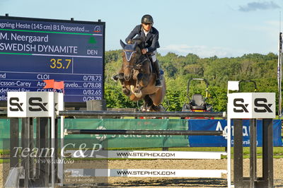Absolut horses
S1 Springning Heste (145 cm) B1
Nøgleord: martin neeergaard;swedish dynamite