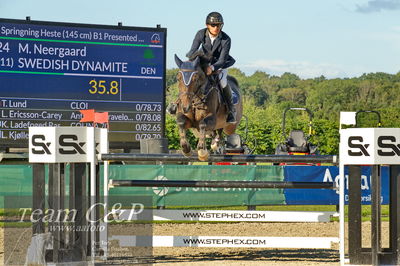 Absolut horses
S1 Springning Heste (145 cm) B1
Nøgleord: martin neeergaard;swedish dynamite