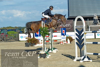 Absolut horses
S1 Springning Heste (145 cm) B1
Nøgleord: martin neeergaard;swedish dynamite