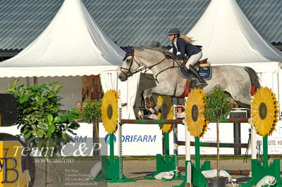 Absolut horses
S1 Springning Heste (145 cm) B1
Nøgleord: kamilla ladefoged rasmussen;colina 70
