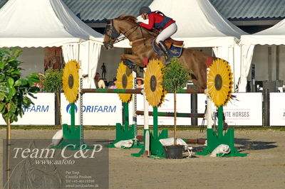Absolut horses
S1 Springning Heste (145 cm) B1
Nøgleord: rikke hasstrup kristensen;balouca z