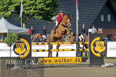 Absolut horses
Mb 130cvm
Nøgleord: tina lund;stakatos z