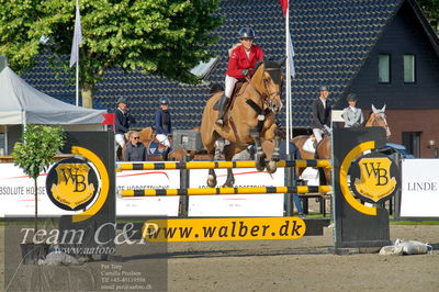 Absolut horses
Mb 130cvm
Nøgleord: tina lund;stakatos z
