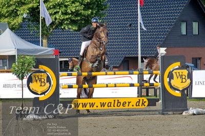 Absolut horses
Mb 130cvm
Nøgleord: mikkel friedrich;unity f