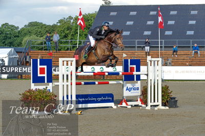 Absolut horses
Mb 130cvm
Nøgleord: mikkel friedrich;unity f