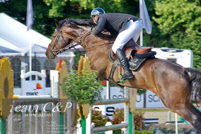 Absolut horses
Mb 130cvm
Nøgleord: mikkel friedrich;unity f