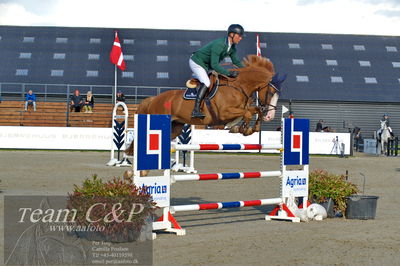 Absolut horses
Mb 130cvm
Nøgleord: konstantin deeken künnemann;i know