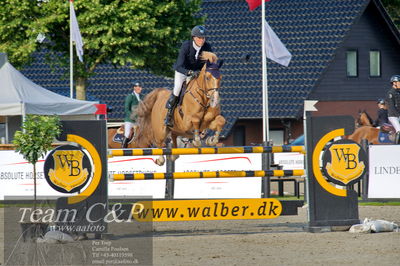Absolut horses
Mb 130cvm
Nøgleord: lars bak andersen;bartholomaeus 2