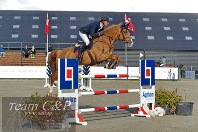Absolut horses
Mb 130cvm
Nøgleord: lars bak andersen;bartholomaeus 2