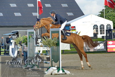 Absolut horses
Mb 130cvm
Nøgleord: lars bak andersen;bartholomaeus 2