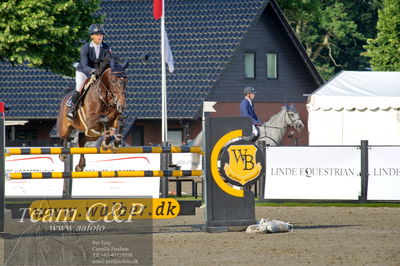 Absolut horses
Mb 130cvm
Nøgleord: rie rose lindegren roed;calalou