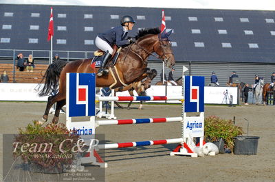 Absolut horses
Mb 130cvm
Nøgleord: rie rose lindegren roed;calalou