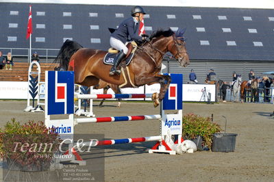 Absolut horses
Mb 130cvm
Nøgleord: rie rose lindegren roed;calalou