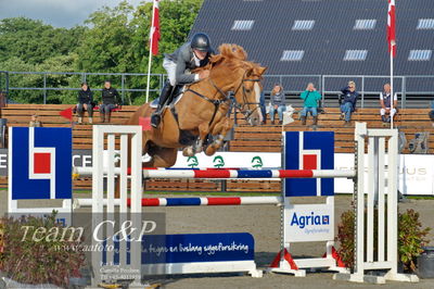 Absolut horses
Mb 130cvm
Nøgleord: torben frandsen;elmegårdens dakota