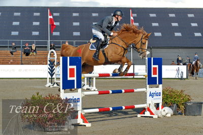 Absolut horses
Mb 130cvm
Nøgleord: torben frandsen;elmegårdens dakota