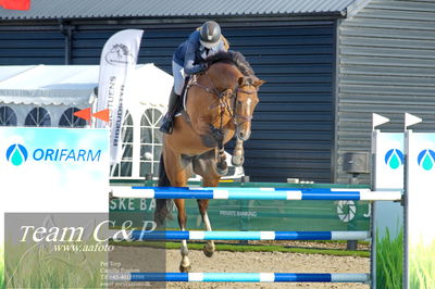 Absolut horses
Mb 130cvm
Nøgleord: frida munk lassen;valerie ask