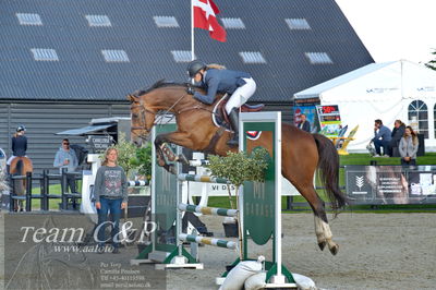 Absolut horses
Mb 130cvm
Nøgleord: frida munk lassen;valerie ask