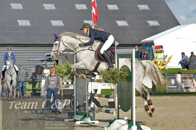 Absolut horses
Mb 130cvm
Nøgleord: christine tvedskov bille;chuck norris