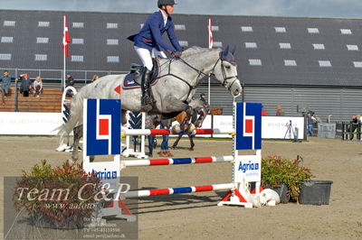 Absolut horses
Mb 130cvm
Nøgleord: jack ray nielsen;gerdings  carrie