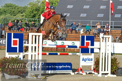 Absolut horses
Mb 130cvm
Nøgleord: tina lund;charlotte del colle