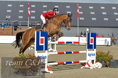 Absolut horses
Mb 130cvm
Nøgleord: tina lund;charlotte del colle