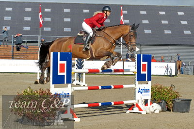 Absolut horses
Mb 130cvm
Nøgleord: tina lund;charlotte del colle
