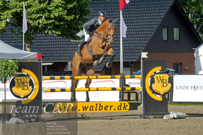 Absolut horses
Mb 130cvm
Nøgleord: kasper  h hansen;jamaica