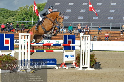 Absolut horses
Mb 130cvm
Nøgleord: kasper  h hansen;jamaica