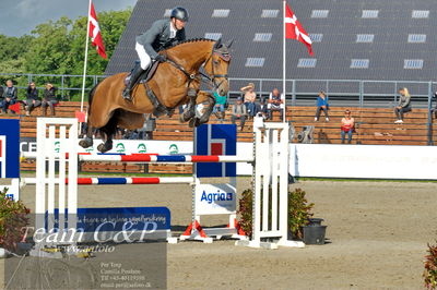 Absolut horses
Mb 130cvm
Nøgleord: kasper  h hansen;jamaica