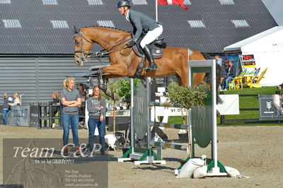 Absolut horses
Mb 130cvm
Nøgleord: kasper  h hansen;jamaica