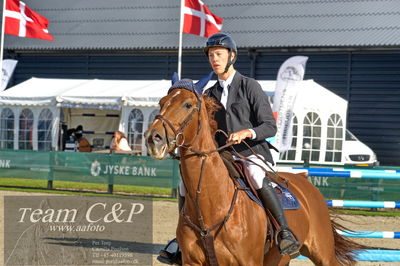 Absolut horses
Mb 130cvm
Nøgleord: alexander godsk;happy thoughts
