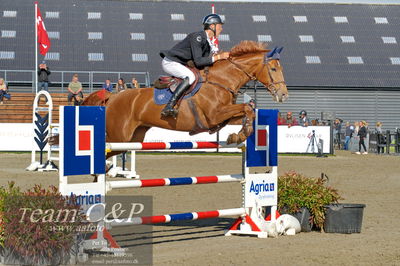 Absolut horses
Mb 130cvm
Nøgleord: alexander godsk;happy thoughts