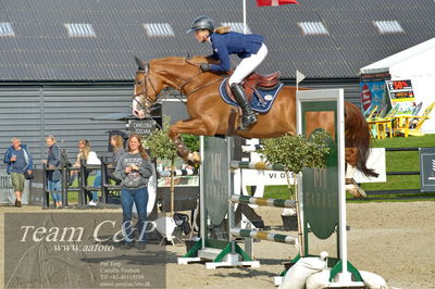 Absolut horses
Mb 130cvm
Nøgleord: rikke andersen;faerdel