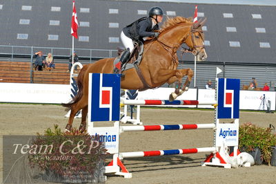 Absolut horses
Mb 130cvm
Nøgleord: cecilie kjær;chintano