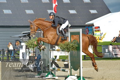 Absolut horses
Mb 130cvm
Nøgleord: cecilie kjær;chintano
