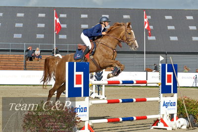 Absolut horses
Mb 130cvm
Nøgleord: caroline knudsen;landlyst callicon