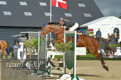 Absolut horses
Mb 130cvm
Nøgleord: lærke isabell godsk;miss ellie