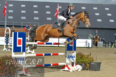 Absolut horses
Mb 130cvm
Nøgleord: andreas holm;chiara 305