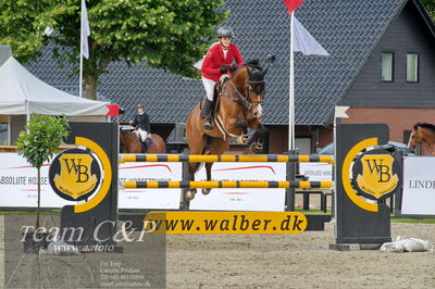 Absolut horses
Mb 130cvm
Nøgleord: tina lund;caracho