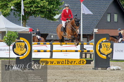 Absolut horses
Mb 130cvm
Nøgleord: tina lund;caracho