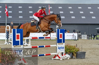 Absolut horses
Mb 130cvm
Nøgleord: tina lund;caracho