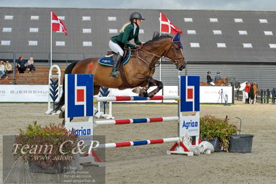 Absolut horses
Mb 130cvm
Nøgleord: astrid lund wisholm;guardiola 4